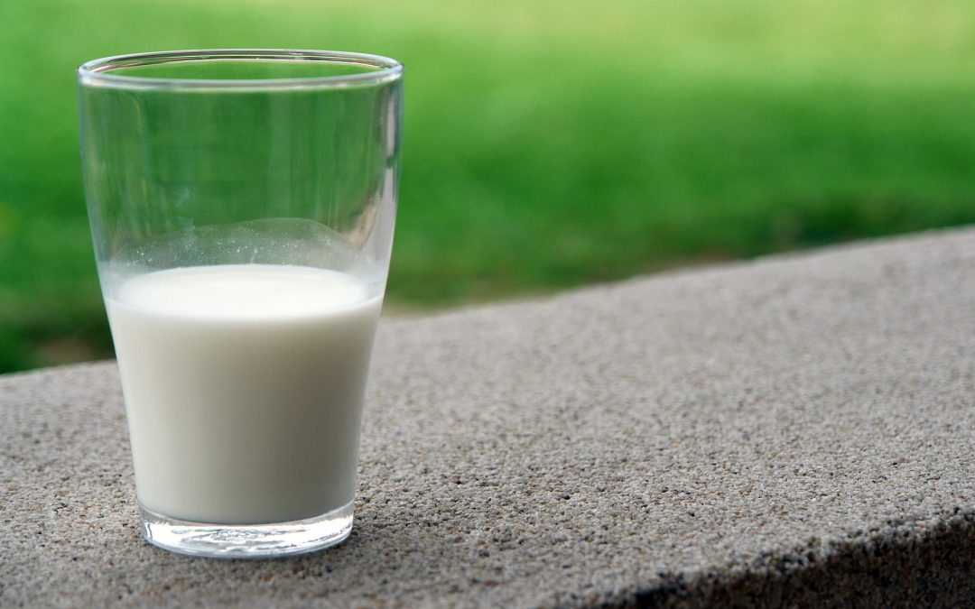 Los lácteos y la importancia de los minerales